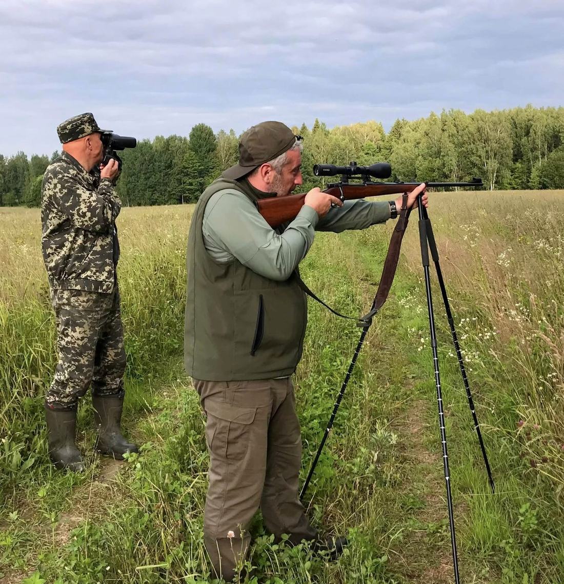 Belarus — roebuck