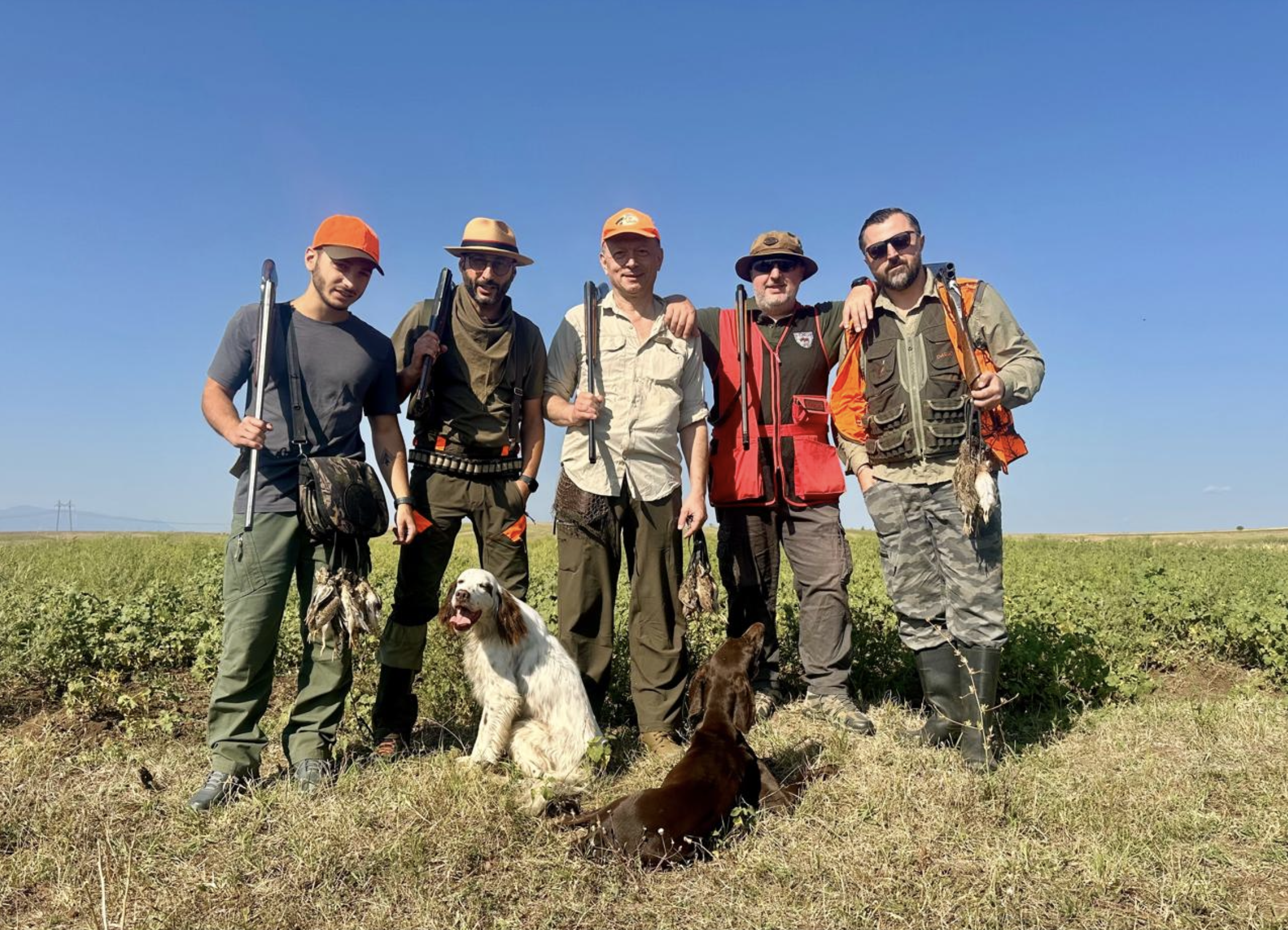 Georgia — quail hunt